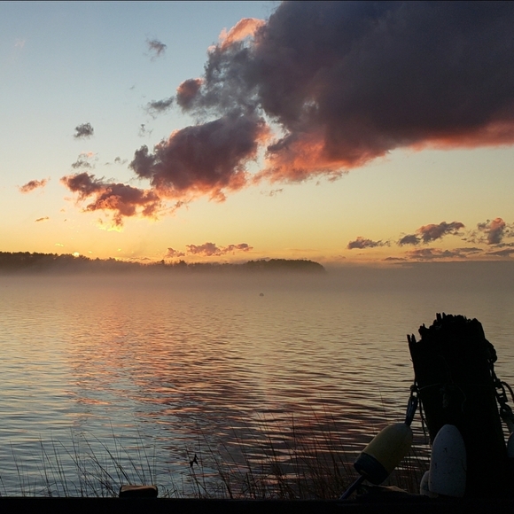 Uncle Sam's U.S. Blues - Picture 4 of 12